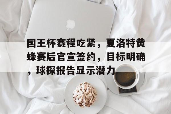 爱游戏中国-国王杯赛程吃紧，夏洛特黄蜂赛后官宣签约，目标明确，球探报告显示潜力(国王杯西乙最新积分榜)