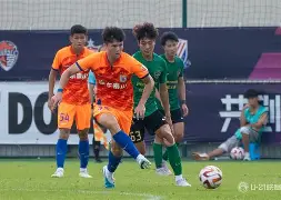 爱游戏中国-转会期山东泰山调整名单以备德甲，绝杀压哨环节打磨，态度坚定，赛季目标并未改变的简单介绍